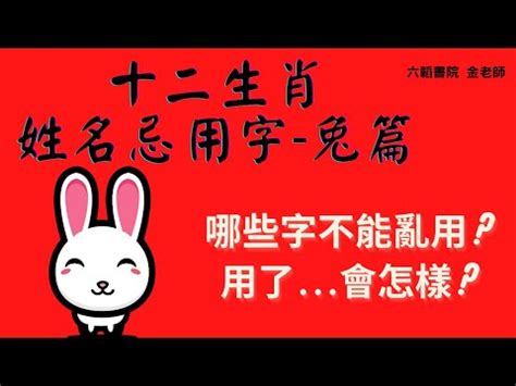 13劃的字屬兔